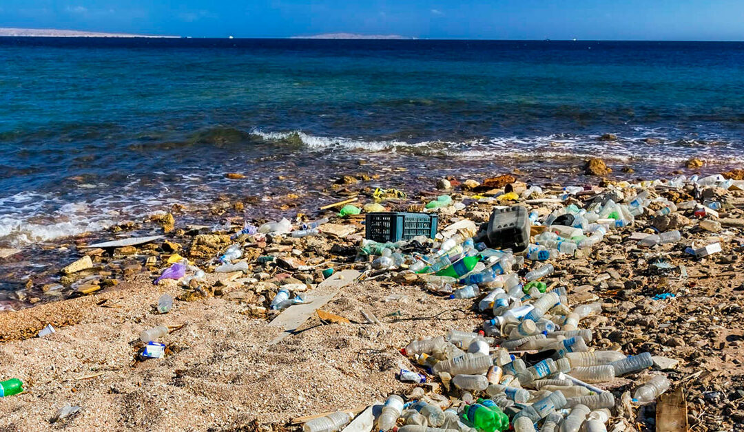 More plastic than fish in the ocean by 2050